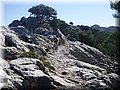 2014_08300256.JPG