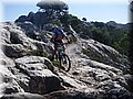 2014_08300261.JPG