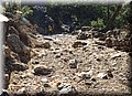 P8302201.JPG