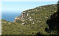P8302207.JPG