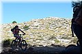 P8302214.JPG