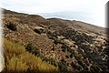 P9160175.JPG