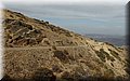P9160195.JPG