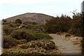 P9160200.JPG