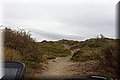 P9160202.JPG