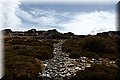 P9160210.JPG