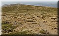P9160212.JPG
