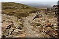 P9160217.JPG