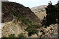 P9180347.JPG