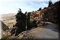P9180349.JPG