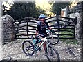 2014_10110047.JPG