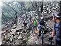 2014_10110066.JPG