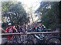 2014_10110071.JPG