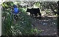 2014_10110100.JPG