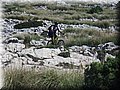 2014_10110124.JPG
