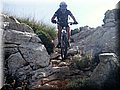 2014_10110144.JPG