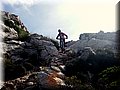 2014_10110156.JPG
