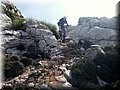 2014_10110160.JPG