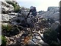 2014_10110167.JPG