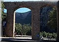 PA110091.JPG