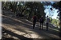 PA110104.JPG