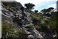 PA110137.JPG