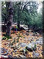IMG-20141014-WA0011.jpg