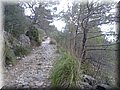 IMG-20141014-WA0015.jpg