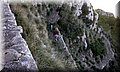 IMG-20141018-WA0004.jpeg