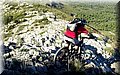 IMG-20141018-WA0035.jpg
