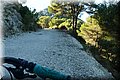 PA180340.JPG