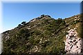 PA180350.JPG