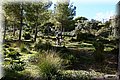 PA180412.JPG