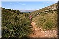 PA180415.JPG