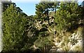 PA180421.JPG