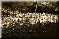 PA180423.JPG