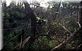 2014_10260022.JPG