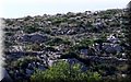 2014_10260084.JPG