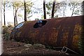 PA250601.JPG
