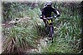 PB151056.JPG