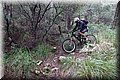 PB151058.JPG