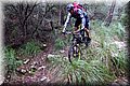 PB151061.JPG