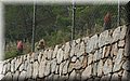PB151064.JPG