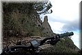 PB151067.JPG
