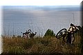 PB151076.JPG