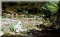 PB151085.JPG