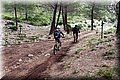 PB151088.JPG