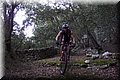 PB211237.JPG