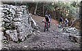 PB211255.JPG