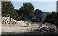 PB211265.JPG